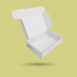 White Kraft Boxes