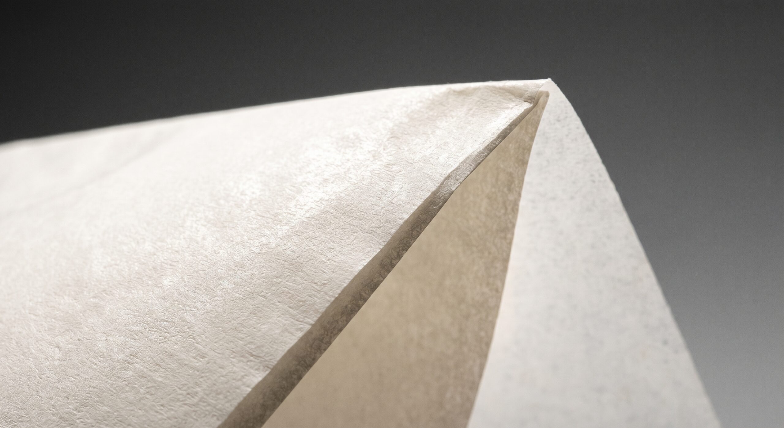 Butter paper greaseproof texture and thickness detail - The Best Price Boxes