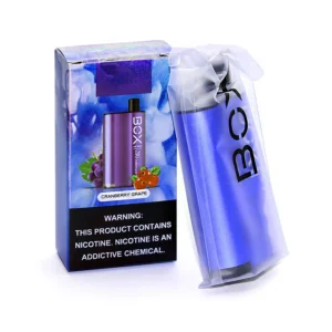 Custom disposable vape box with a clear window and printed warning panel, shown with the device inside.