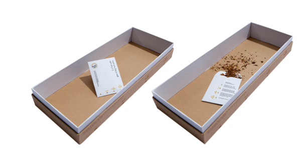 Tray Boxes