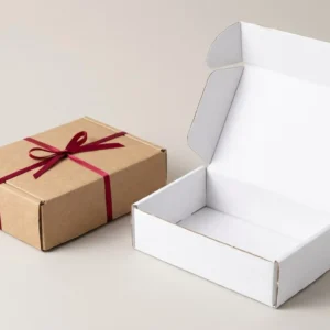 Custom Tuck Top Mailer Boxes, closed and open view in natural kraft and white, bulk and wholesale with no minimum order